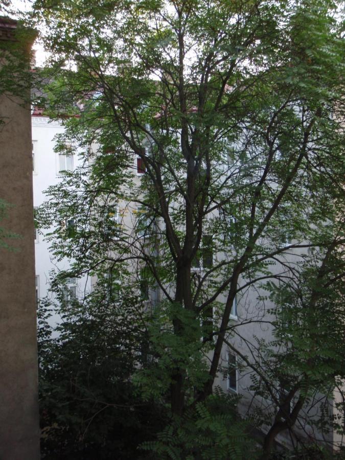 شقة Augartenblick Penthaus 16 فيينا المظهر الخارجي الصورة